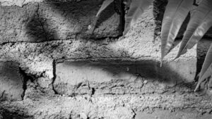 Slot Demo DV188: Cara Mudah Memahami Permainannya