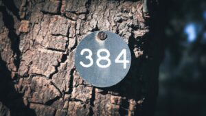 Rahasia Sukses Menang di DV188 Slot Dana